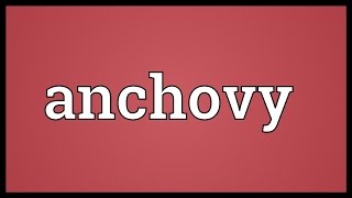 Anchovy Meaning [upl. by Eylsel]