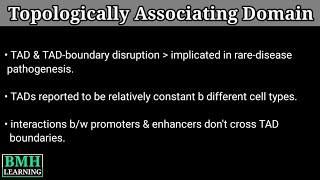 Topologically Associating domain  TADs [upl. by Eutnoj]