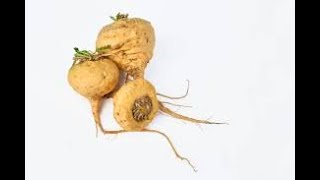 How Maca Root Helps You Adapt to Stress [upl. by Shimberg]