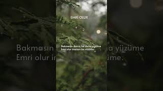 Emri olur başım gözüm üstüne… music imera trending [upl. by Lihkin]