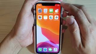 Lock or Unlock Screen Orientation Auto Rotate on iPhone 11  Pro Max [upl. by Bonnell]