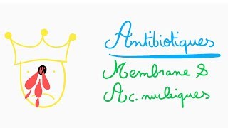 🔴 ASTUCES ANTIBIOTIQUES MEMBRANE ET AC NUCLEIQUES   DR ASTUCE [upl. by Dalohcin290]