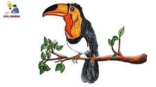 Toucan Drawing Tutorial  How to draw toucan easy  How to draw a bird  Drawing birds [upl. by Ailahs]