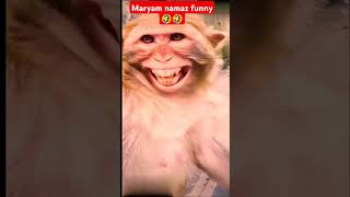 PMLN Funny Joke viralvideo trending youtube yt [upl. by Keslie498]