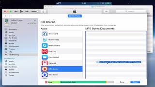 MP3 Audiobook Player  How to add a book via iTunes [upl. by Novyar]