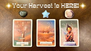 What YOURE HARVESTING This Autumnal🍁Equinox 🤩🌾  🔮Pick A Card🔮 Tarot Reading [upl. by Adriana]