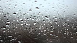 Rainy Day Background Video  No Sound [upl. by Lesly503]