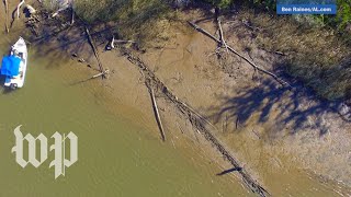 What happened to the Clotilda Last US slave ship may have been unearthed [upl. by Assetnoc]