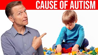 The REAL Cause of Autism Revealed Dr Berg Explains [upl. by Deanne685]