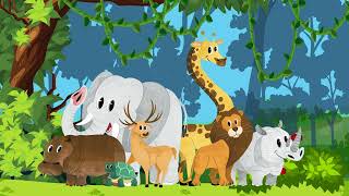 Animal Kingdom Explorers  Wild Animals  Jungle animals  wild life  Animals [upl. by Nanyt]