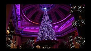 CHOCOLATARIUM CHIHUAHUA CAFECHRISTMAS MARKETS AND MOREEDINBURGH WITH BRADLEY NOV 2023 [upl. by Casady163]