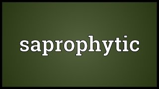 Saprophytic Meaning [upl. by Adoh]