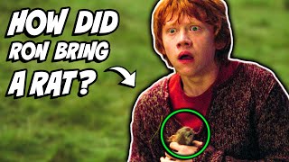 Why Was Ron Weasley Allowed a Pet RAT at Hogwarts  Harry Potter Theory [upl. by Lladnew]