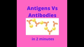 Antigens vs Antibodies in under 2 mins [upl. by Nevet681]