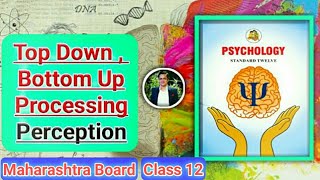 Chapter 4 Cognitive Processes Part 3 Top Down and Bottom Up Processing Psychology 12th Maharashtra [upl. by Ahsilrac]