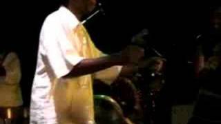 Thomas Mapfumo  Bhutsu Mutandarika Live [upl. by Aniehs]