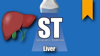 Liver Ultrasound Protocol [upl. by Ayeka785]