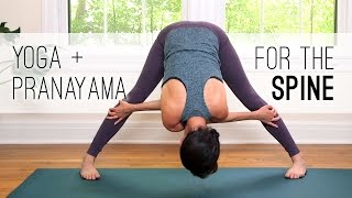 Yoga  Pranayama for the Spine  Yoga With Adriene [upl. by Elsilrac211]