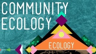 Community Ecology Feel the Love  Crash Course Ecology 4 [upl. by Attenrad741]