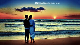 CRW  I Feel Love  Dj Junior Remix [upl. by Kung]