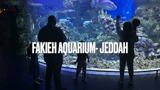 Don’t miss this place in Jeddah Jeddah Corniche Must Visit for Kids Fakieh Aquarium [upl. by Magen529]