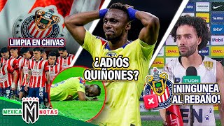 ¡6 O 7 BAJAS EN CHIVAS TRAS FRACASO  ¡¿Ame PIERDE A QUIÑONES  Chino Huerta NINGUNEA al Rebaño [upl. by Salisbury]