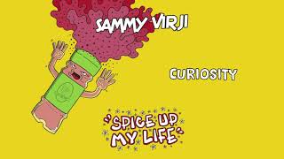 Sammy Virji  Curiosity Official Audio [upl. by Inek]