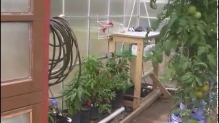 Harbor Freight 10 X 12 Greenhouse Modifications [upl. by Edana]