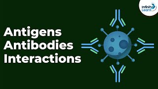 Antigens Antibodies and Interactions  Immunity  Dont Memorise [upl. by Ellery]