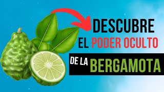 🌺 AROMATERAPIA BERGAMOTA 🌺 ¿¿Para qué sirve el ACEITE ESENCIAL de BERGAMOTA [upl. by Ramgad]