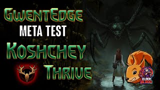 Gwent  Koshchey Thrive MO Force of Nature deck guide  GwentEdge Metatest  Gwent Tips amp Strategy [upl. by Hawken301]