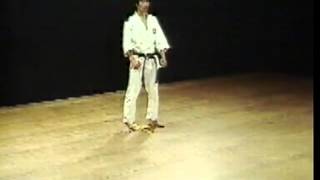 Heian GodanHirokazu KanazawaKata Shotokan SKIF [upl. by Aynot]