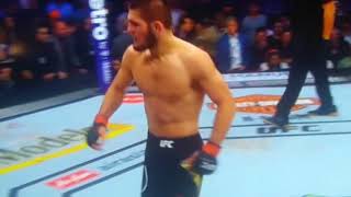 UFC 229 Khabib Vs McGregor  round 4 and Brawl [upl. by Hazem]