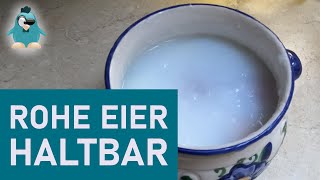 Eier haltbar machen  eigene Eier auch im Winter essen DIY Koch Selbermachen ohne Strom [upl. by Lonny]