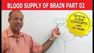 Blood Supply of Brain  Circle of Willis  Part 211 [upl. by Juxon]