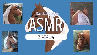 Bardzo długie ASMR z AZALIĄ😱🌺😍 Jak się sprawowała w terenie😇🐴 [upl. by Ecinnahs]