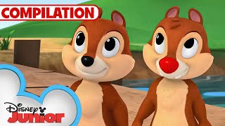 Adventures with Chip N Dale 🐿️  Nutty Tales  Shake Your Tail  1 Hour Compilation disneyjr [upl. by Nnahgem395]