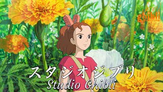 ジブリ ピアノ OST コレクション2024🌾 リラックスのための心安らぐ曲 🎋 ハウルの動く城 天空の城ラピュタ 火垂るの墓 耳をすませば [upl. by Zrike196]