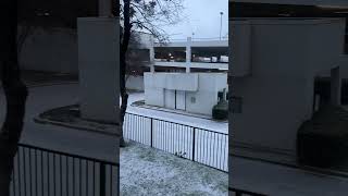 First snowfall of 2024 in Texas Dallas snowfall dallas texas snow [upl. by Kikelia98]