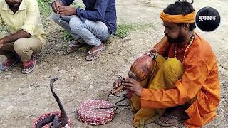 cobra flute music played by the snake charmer in India  Sapera [upl. by Aryan]