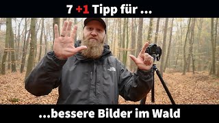 7 Tipps für eine bessere Waldfotografie [upl. by Sikleb]