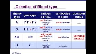 Beyond Mendelian Genetics [upl. by Avie]