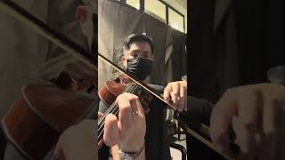 La leçon particulière  Violin Cover [upl. by Leuqim]