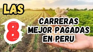 LAS 8 CARRERAS MEJOR PAGADAS EN PERU 2024 [upl. by Lucius672]