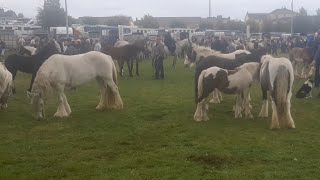 Ballinasloe horse fair 2022 Great crowd great weather great to be back [upl. by Akamaozu657]