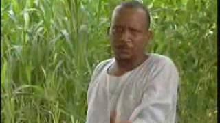 Sudani Song غنيه سودانيه استهبال هههههههه روعه [upl. by Bowne154]