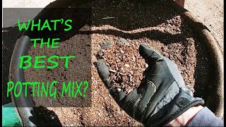 Best Potting Mix To Use With Container Plants  It Works On All Plants [upl. by Ahseek697]