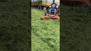 Mowing tall grass with the Scag Cheetah 2 ridingmower scagmower lawnstripes [upl. by Solomon]