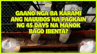 Gaano nga ba Karami ang Nauubos na Pagkain ng 45 Days na Manok Bago Ibenta [upl. by Ennaitsirk166]