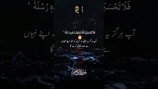 Surah ibrahim  emantv284 [upl. by Acinimod]